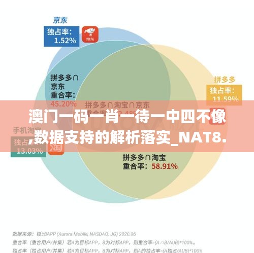 澳门一码一肖一待一中四不像,数据支持的解析落实_NAT8.72.82愉悦版