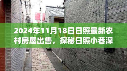 探秘日照小巷深处的宝藏，揭秘最新农村房屋出售背后的故事（日照最新房源信息）