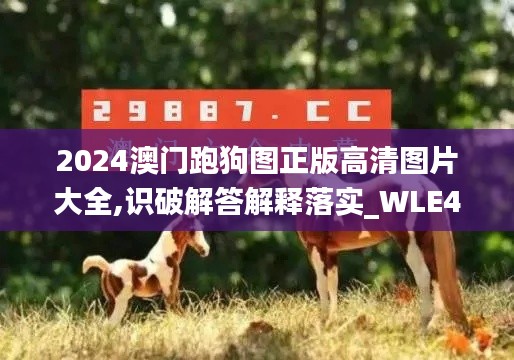 2024澳门跑狗图正版高清图片大全,识破解答解释落实_WLE4.51.47体现版