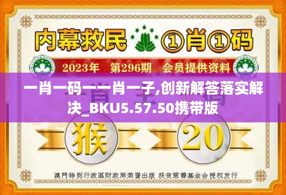 一肖一码一一肖一子,创新解答落实解决_BKU5.57.50携带版