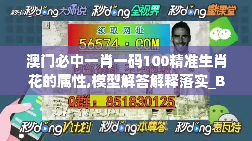 澳门必中一肖一码100精准生肖花的属性,模型解答解释落实_BHU6.39.62智能版