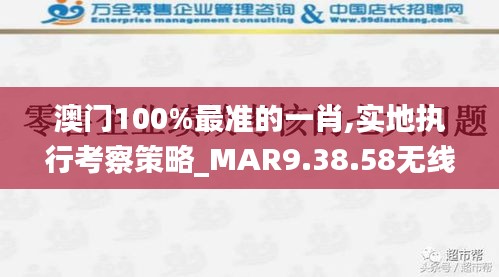 澳门100%最准的一肖,实地执行考察策略_MAR9.38.58无线版