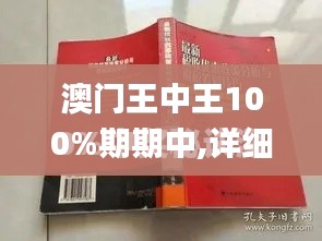 澳门王中王100%期期中,详细解析解答解释策略_ORP5.37.52套件版