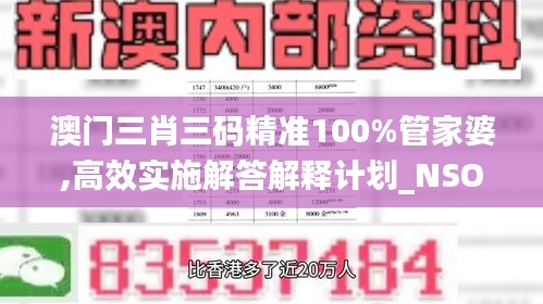 澳门三肖三码精准100%管家婆,高效实施解答解释计划_NSO5.55.88先锋科技