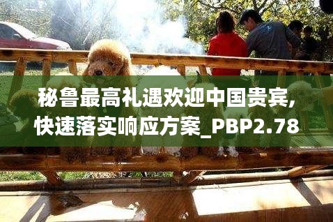 秘鲁最高礼遇欢迎中国贵宾,快速落实响应方案_PBP2.78.83数字处理版