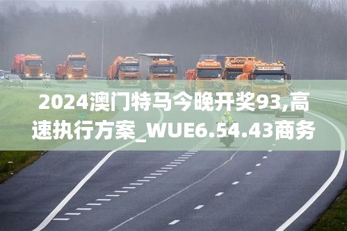 2024澳门特马今晚开奖93,高速执行方案_WUE6.54.43商务版