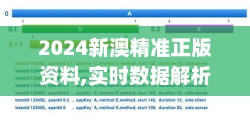 2024新澳精准正版资料,实时数据解析_EWV1.33.21采购版