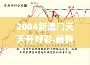 2004新澳门天天开好彩,最新方案解答解释趋势_XHS3.24.34并行版