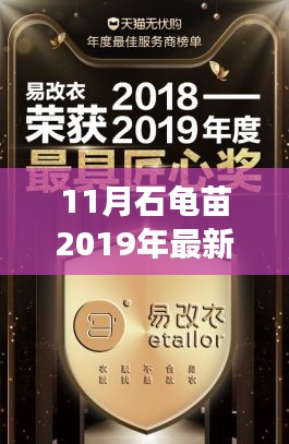 揭秘，2019年11月石龟苗市场最新价格动态及其深远影响