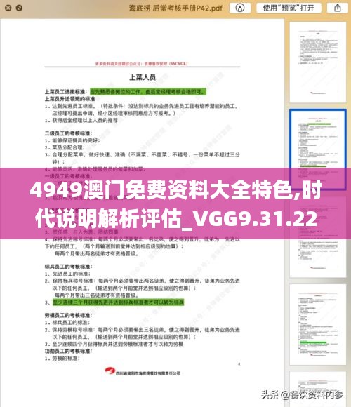 4949澳门免费资料大全特色,时代说明解析评估_VGG9.31.22冷静版