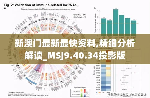 新澳门最新最快资料,精细分析解读_MSJ9.40.34投影版