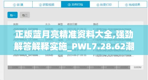 正版蓝月亮精准资料大全,强劲解答解释实施_PWL7.28.62潮流版