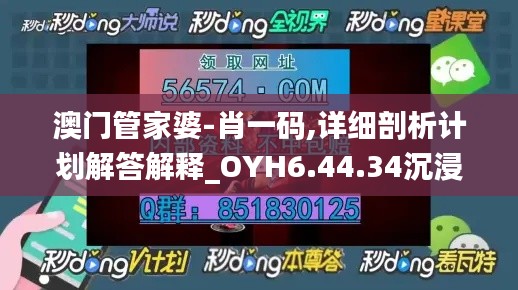 澳门管家婆-肖一码,详细剖析计划解答解释_OYH6.44.34沉浸版