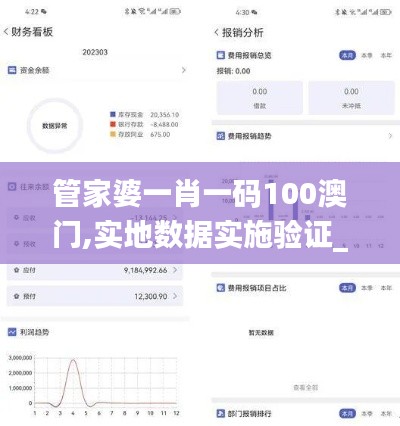 管家婆一肖一码100澳门,实地数据实施验证_SOT2.59.47分析版