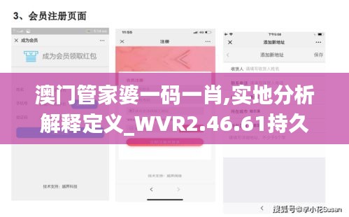 澳门管家婆一码一肖,实地分析解释定义_WVR2.46.61持久版