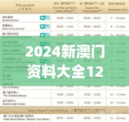 2024新澳门资料大全123期,快速解答策略实施_ZWT8.71.36抓拍版