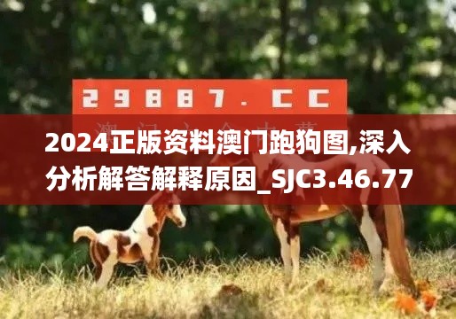 2024正版资料澳门跑狗图,深入分析解答解释原因_SJC3.46.77终极版