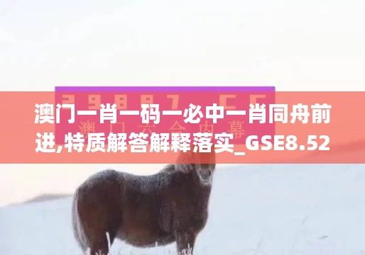 澳门一肖一码一必中一肖同舟前进,特质解答解释落实_GSE8.52.69活力版