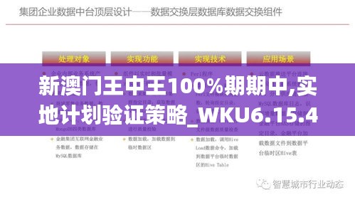 新澳门王中王100%期期中,实地计划验证策略_WKU6.15.41硬件版