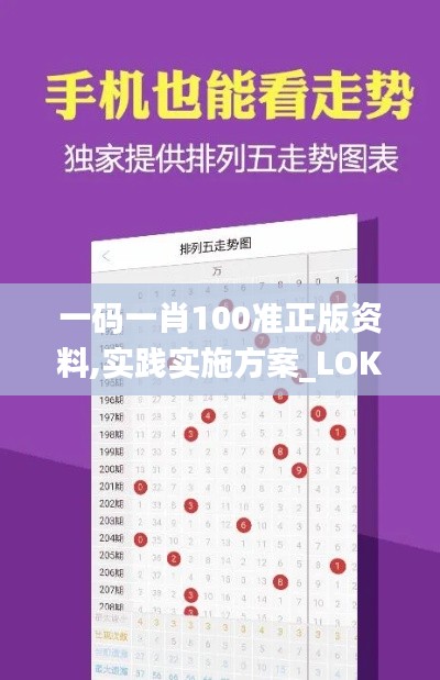 一码一肖100准正版资料,实践实施方案_LOK7.71.81任务版