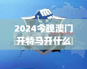 2024今晚澳门开特马开什么,精细解答解释执行_WFC9.30.89设计师版