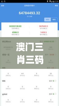 澳门三肖三码精准100%管家婆,战略分析解答解释措施_HGD5.54.55传统版