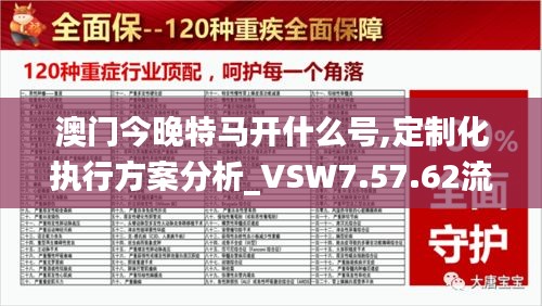 澳门今晚特马开什么号,定制化执行方案分析_VSW7.57.62流线型版