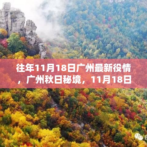 广州秋日秘境最新役情，与大自然的共舞日