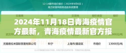 青海疫情最新官方报告（聚焦要点分析，截至2024年11月18日更新）