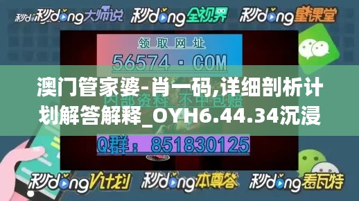 澳门管家婆-肖一码,详细剖析计划解答解释_OYH6.44.34沉浸版