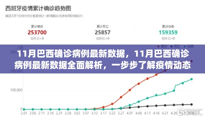 巴西疫情最新动态，全面解析11月确诊病例数据