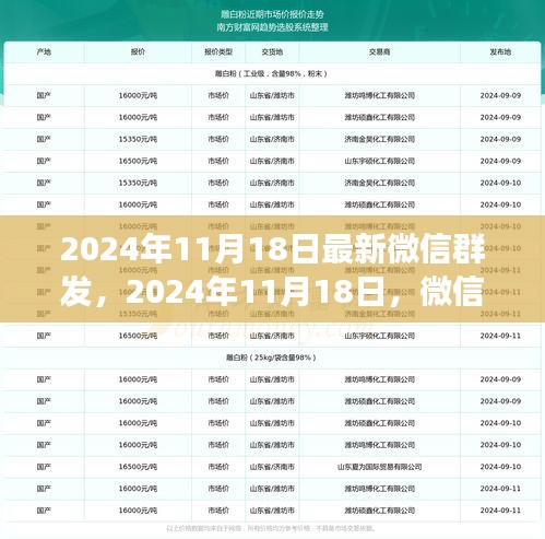 微信群自然美景之旅，寻找内心的平和与宁静（2024年11月18日最新分享）