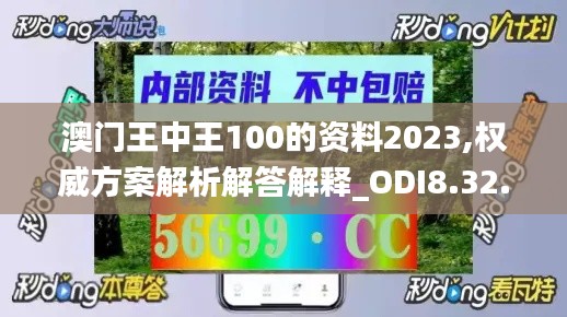 澳门王中王100的资料2023,权威方案解析解答解释_ODI8.32.59七天版