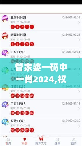 管家婆一码中一肖2024,权威执行解答效果_MXW4.77.48