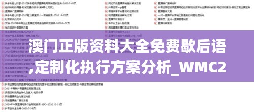 澳门正版资料大全免费歇后语,定制化执行方案分析_WMC2.52.60紧凑版