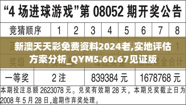 新澳天天彩免费资料2024老,实地评估方案分析_QYM5.60.67见证版