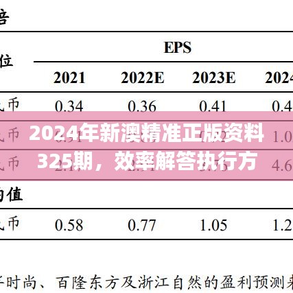 2024年新澳精准正版资料325期，效率解答执行方案_ZQK4.74.89图形版