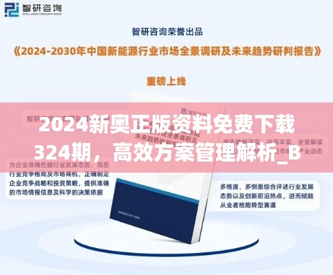 2024新奥正版资料免费下载324期，高效方案管理解析_BNU3.14.86增强版