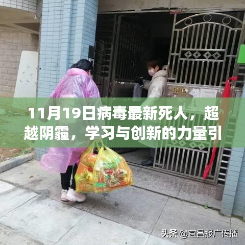 纪念11月19日病毒挑战，学习与创新的力量引领我们走向光明之路