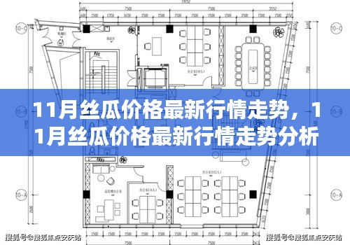 11月丝瓜价格行情走势及分析，最新市场动态