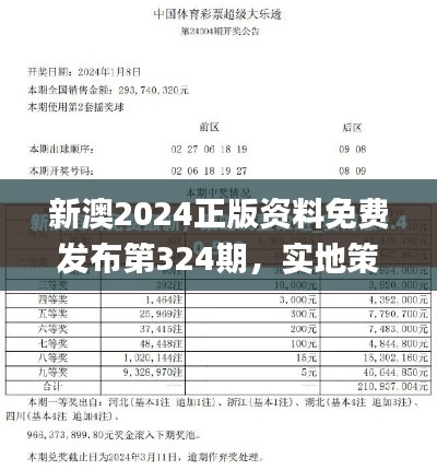 新澳2024正版资料免费发布第324期，实地策略方案验证_UGG8.67.34商务版