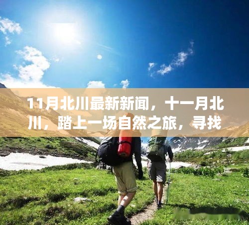 北川十一月自然之旅，探寻心灵宁静港湾的最新报道