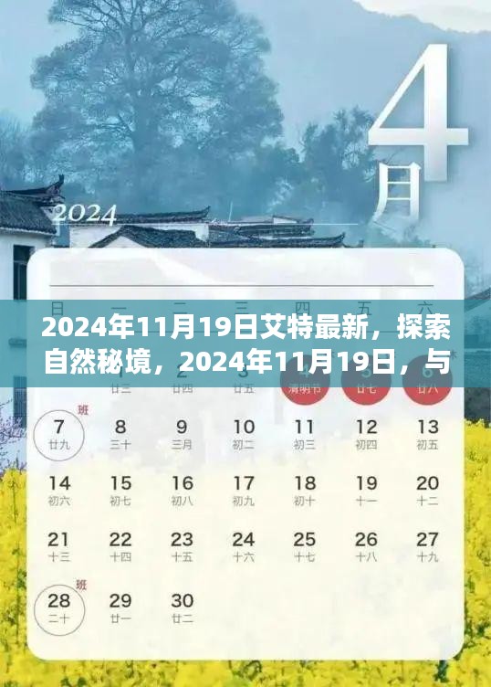 探索自然秘境，启程寻找内心的平和之地——与大自然共舞的日子，2024年11月19日最新更新