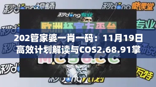 202管家婆一肖一码：11月19日高效计划解读与COS2.68.91掌中宝应用指南