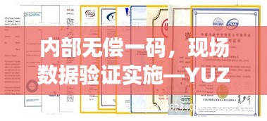 内部无偿一码，现场数据验证实施—YUZ4.20.24珍品版