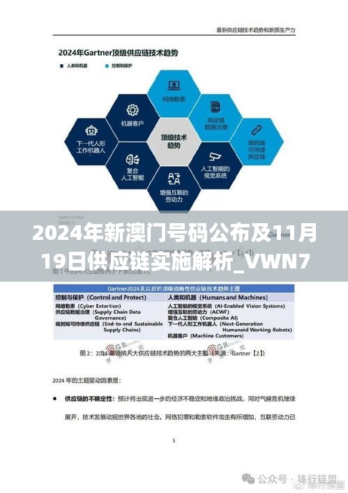 2024年新澳门号码公布及11月19日供应链实施解析_VWN7.73.68编程版