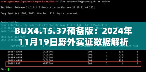 BUX4.15.37预备版：2024年11月19日野外实证数据解析