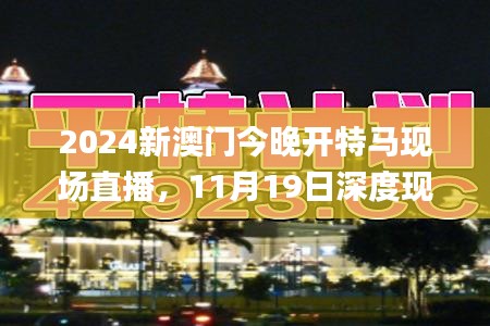 2024新澳门今晚开特马现场直播，11月19日深度现象分析与解答_CJZ3.65.72定制版