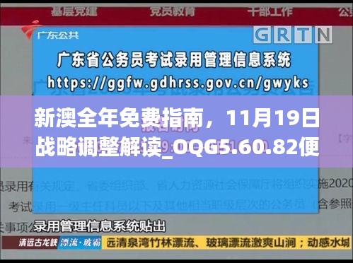 新澳全年免费指南，11月19日战略调整解读_OQG5.60.82便捷版