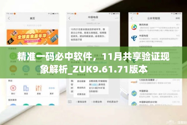 精准一码必中软件，11月共享验证现象解析_ZUK9.61.71版本